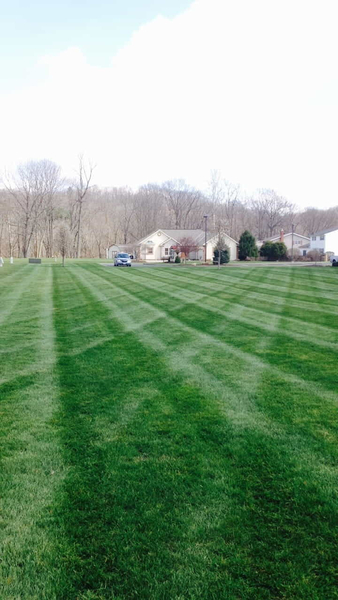 Cover photo of C.P.'s Lawncare